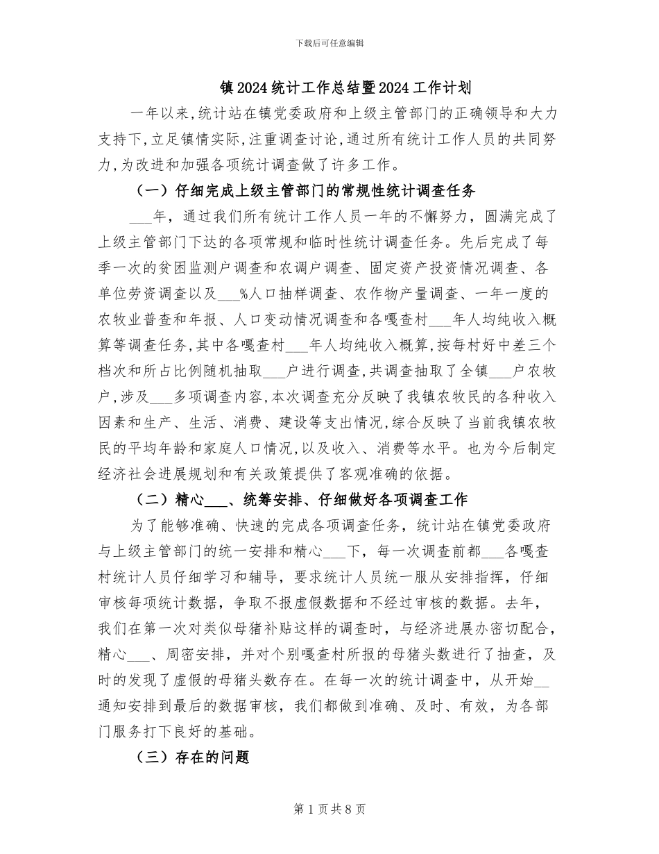 镇2024统计工作总结暨2024工作计划_第1页