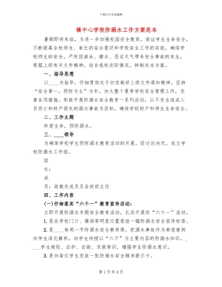 镇中心学校防溺水工作方案范本(2篇)