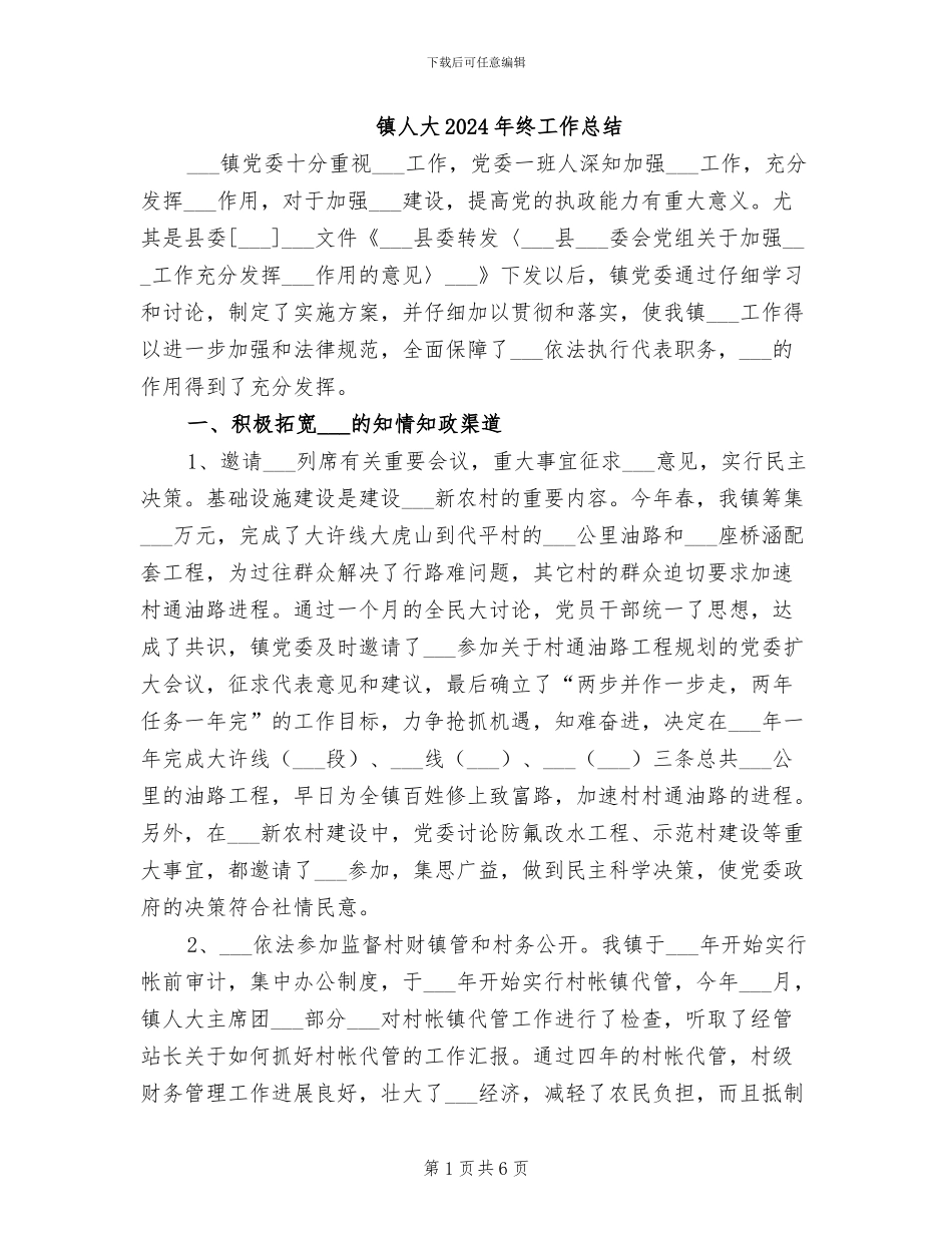 镇人大2024年终工作总结_第1页