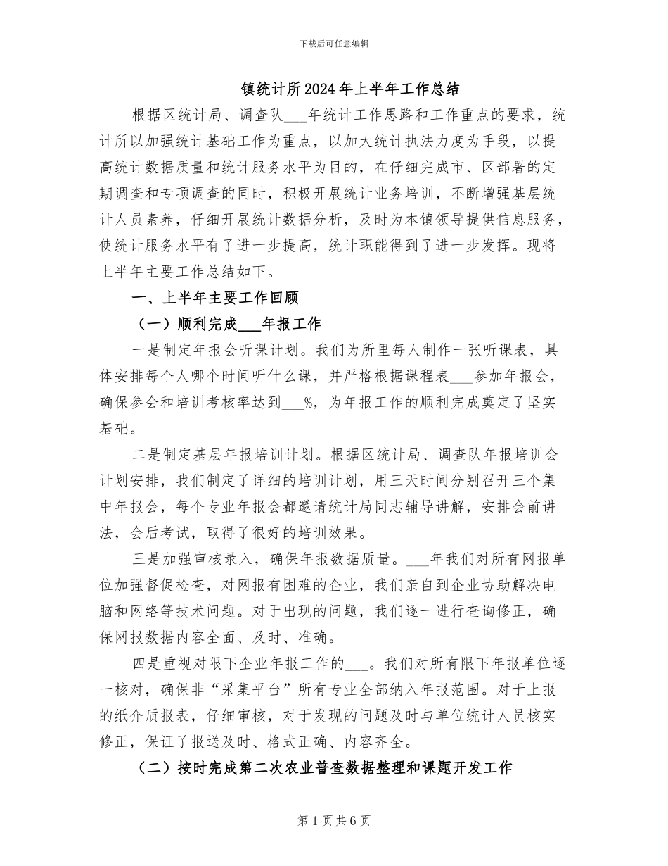 镇统计所2024年上半年工作总结_第1页