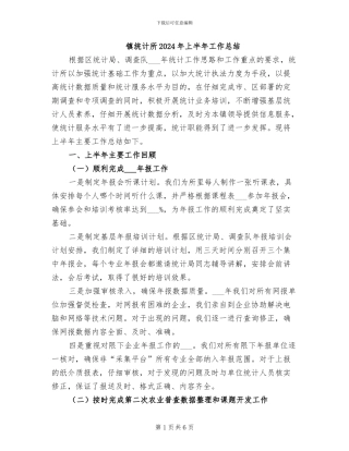 镇统计所2024年上半年工作总结