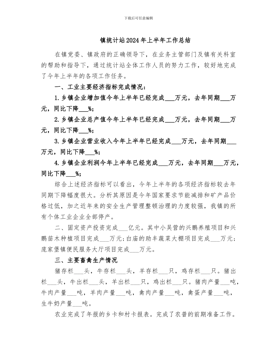 镇统计站2024年上半年工作总结_第1页