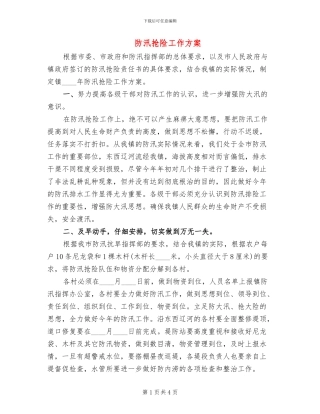 防汛抢险工作方案