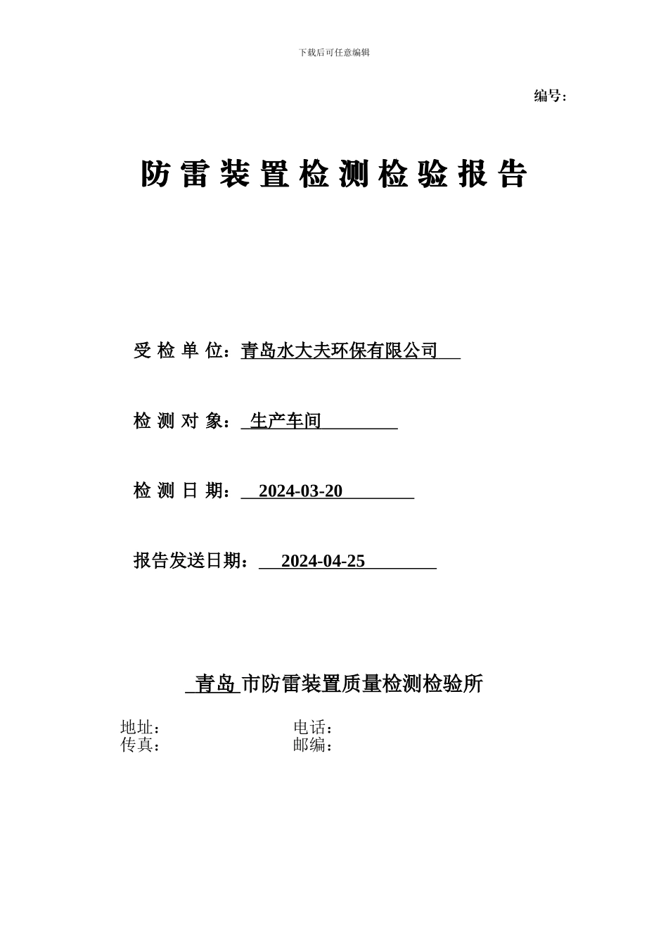 防雷检测报告表_第1页