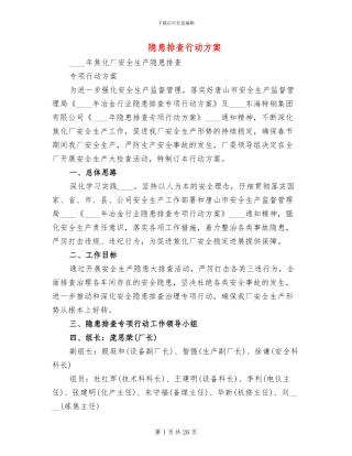 隐患排查行动方案