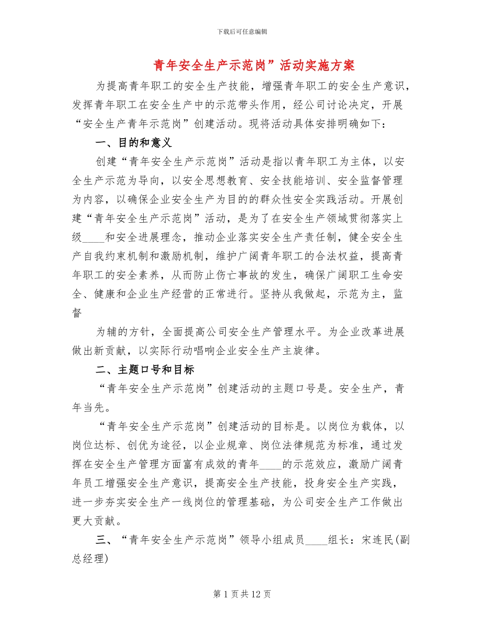 青年安全生产示范岗”活动实施方案_第1页