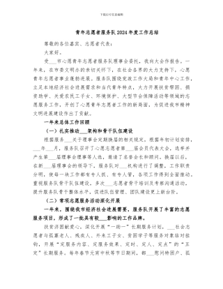 青年志愿者服务队2024年度工作总结