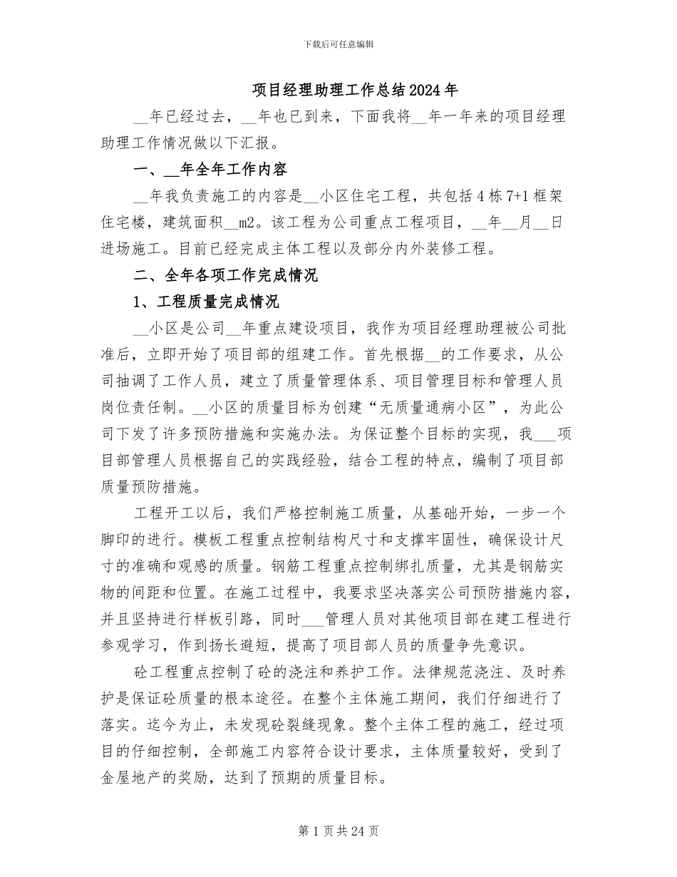 项目经理助理工作总结2024年_第1页