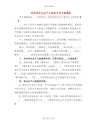 项目部安全生产大检查专项方案模板