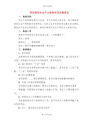 项目部安全生产大检查专项方案范本(2篇)