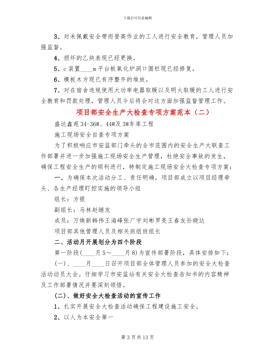 项目部安全生产大检查专项方案范本_第3页