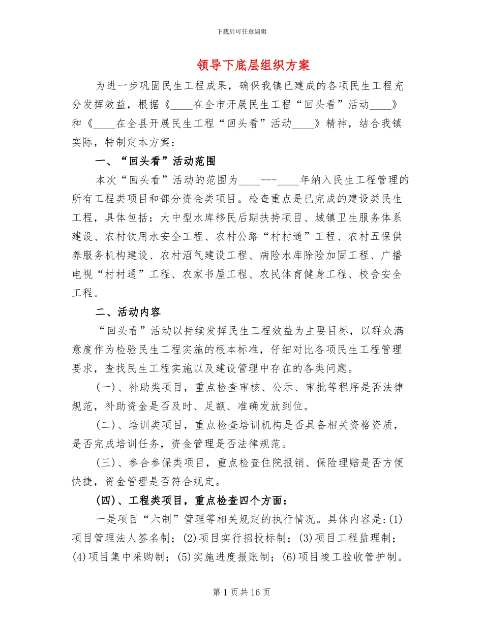 领导下底层组织方案_第1页
