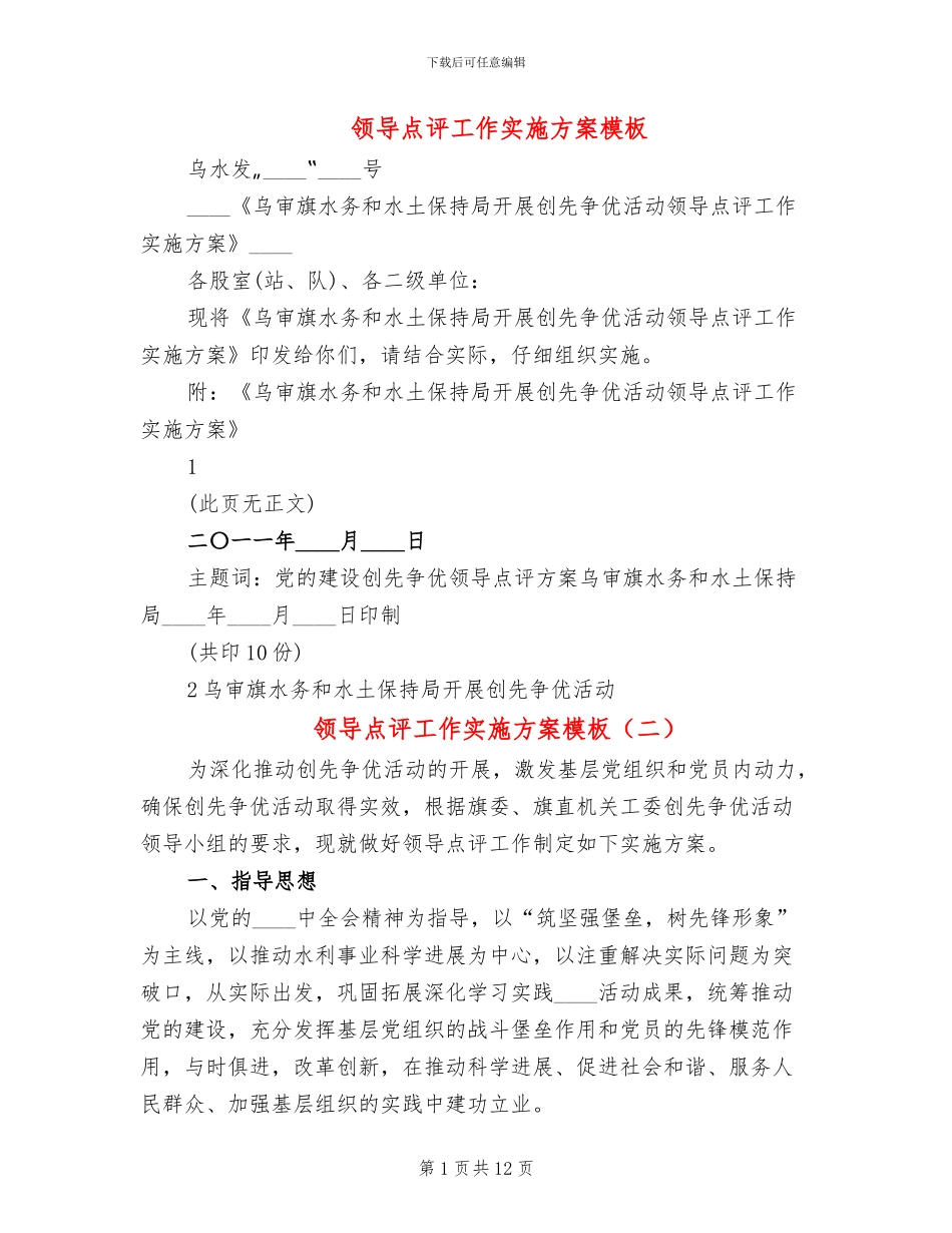 领导点评工作实施方案模板_第1页