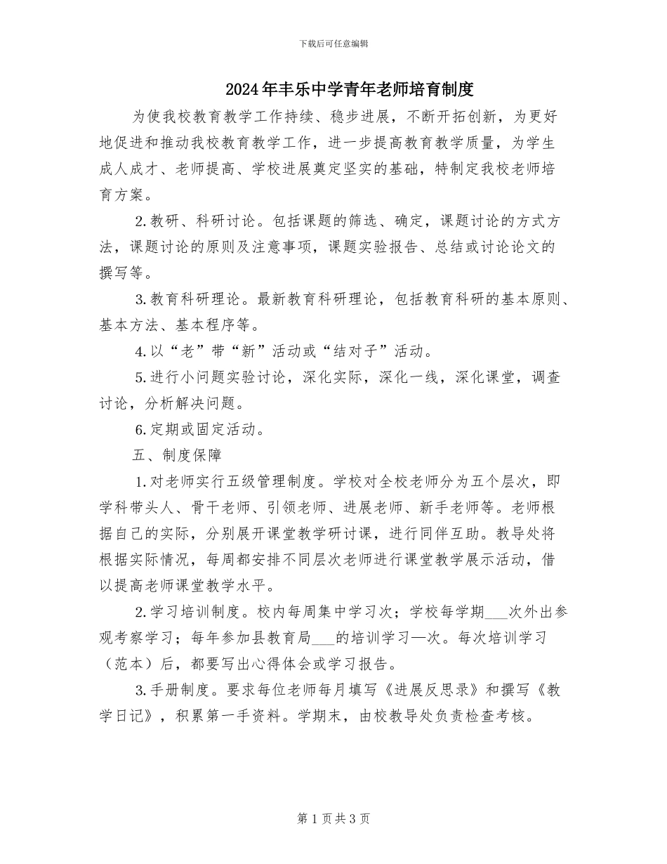 2024年丰乐中学青年教师培养制度_第1页
