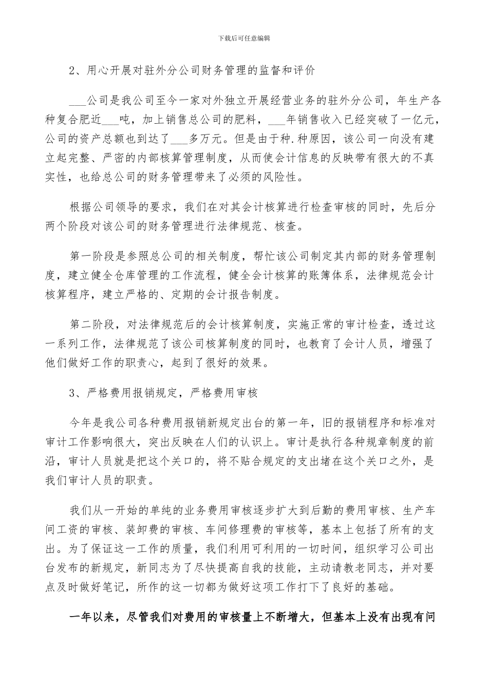 2024年企业审计年终总结范文_第2页