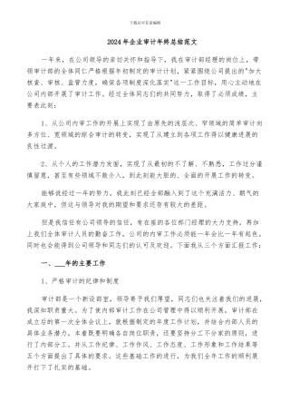 2024年企业审计年终总结范文
