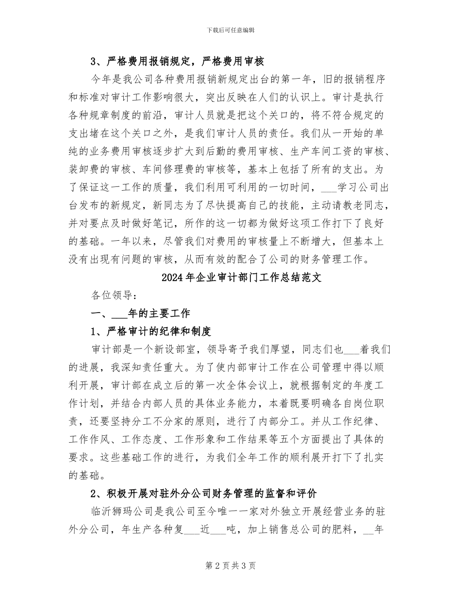 2024年企业审计部门工作总结_第2页