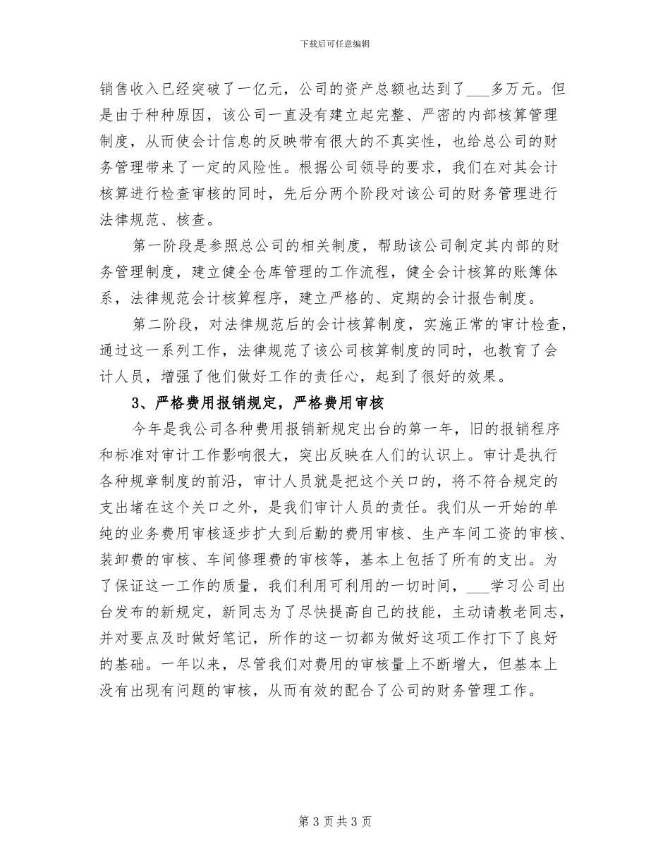 2024年企业审计部门工作总结_第3页