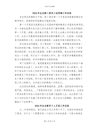 2024年企业新入职员工试用期工作总结