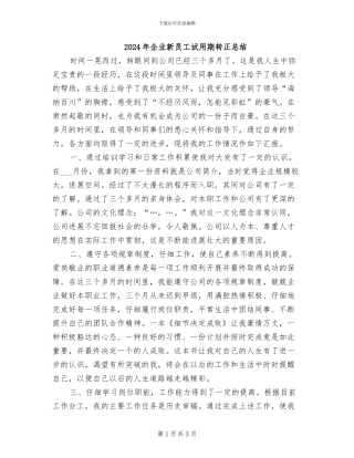 2024年企业新员工试用期转正总结