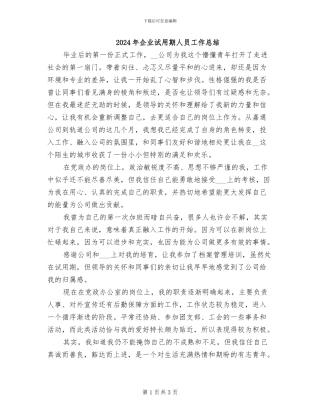 2024年企业试用期人员工作总结