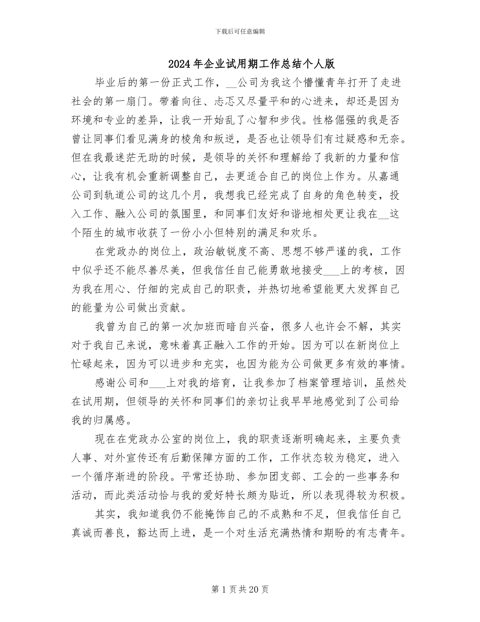 2024年企业试用期工作总结个人版_第1页
