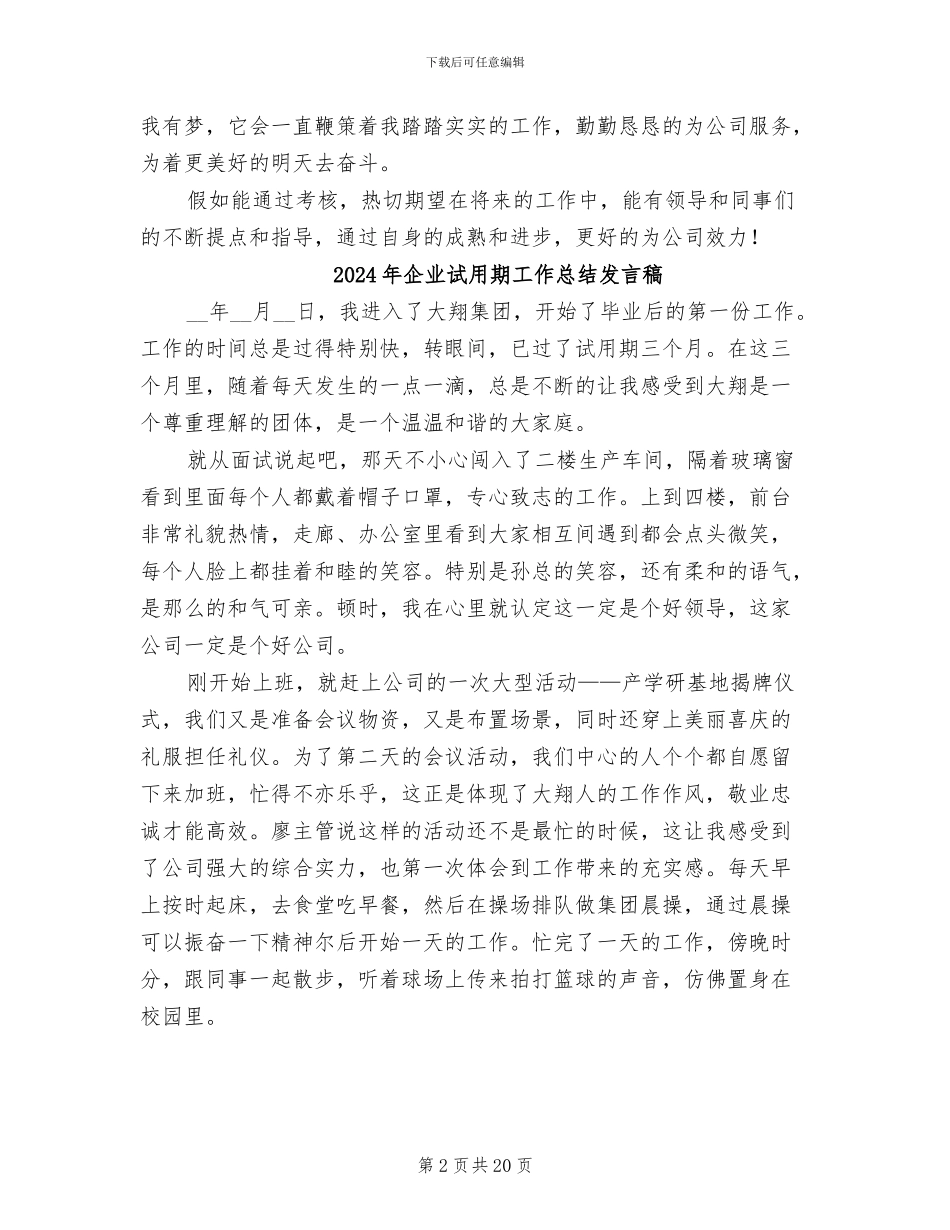 2024年企业试用期工作总结个人版_第2页