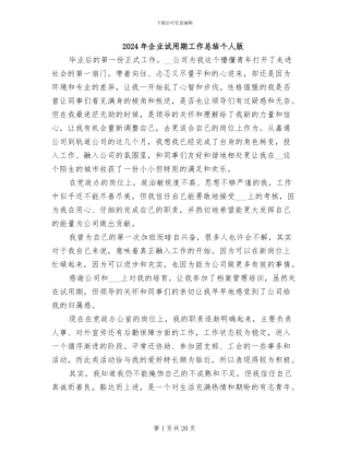 2024年企业试用期工作总结个人版