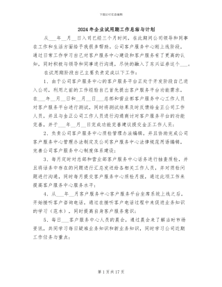 2024年企业试用期工作总结与计划