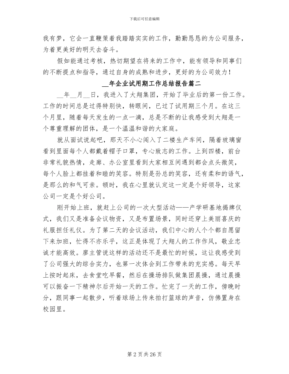 2024年企业试用期工作总结报告_第2页