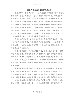 2024年企业试用期工作总结报告