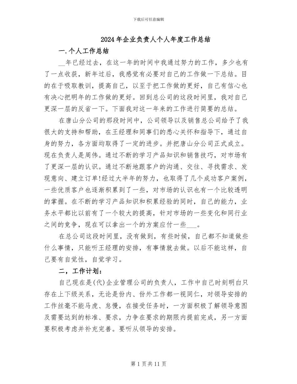 2024年企业负责人个人年度工作总结_第1页