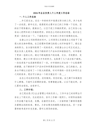 2024年企业负责人个人年度工作总结