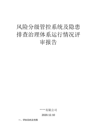 特种设备双重预防体系系统评审报告