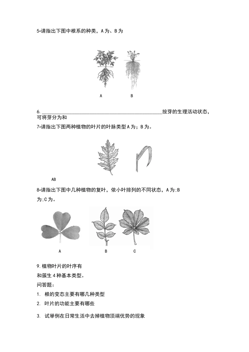 植物与植物生理学各章习题_第2页
