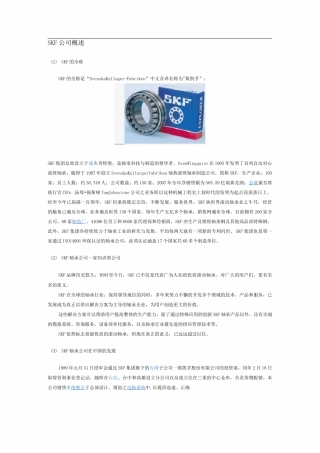 SKF公司概述