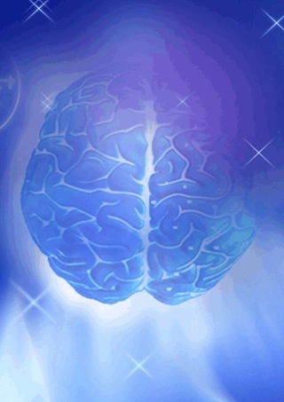 《神经病学》八年制教材_影像图谱