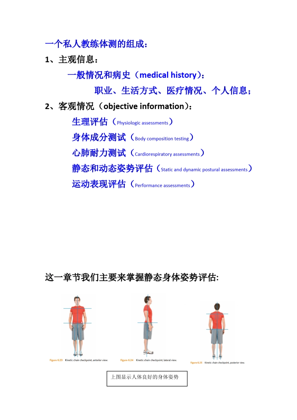《私人教练专用——静态姿势评估》_第2页