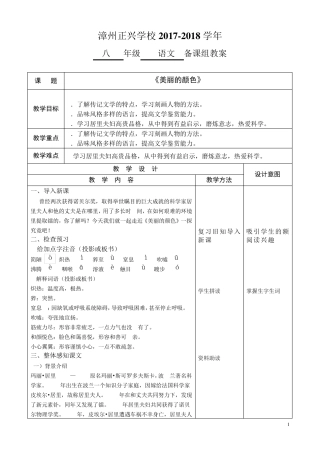 《美丽的颜色》教案