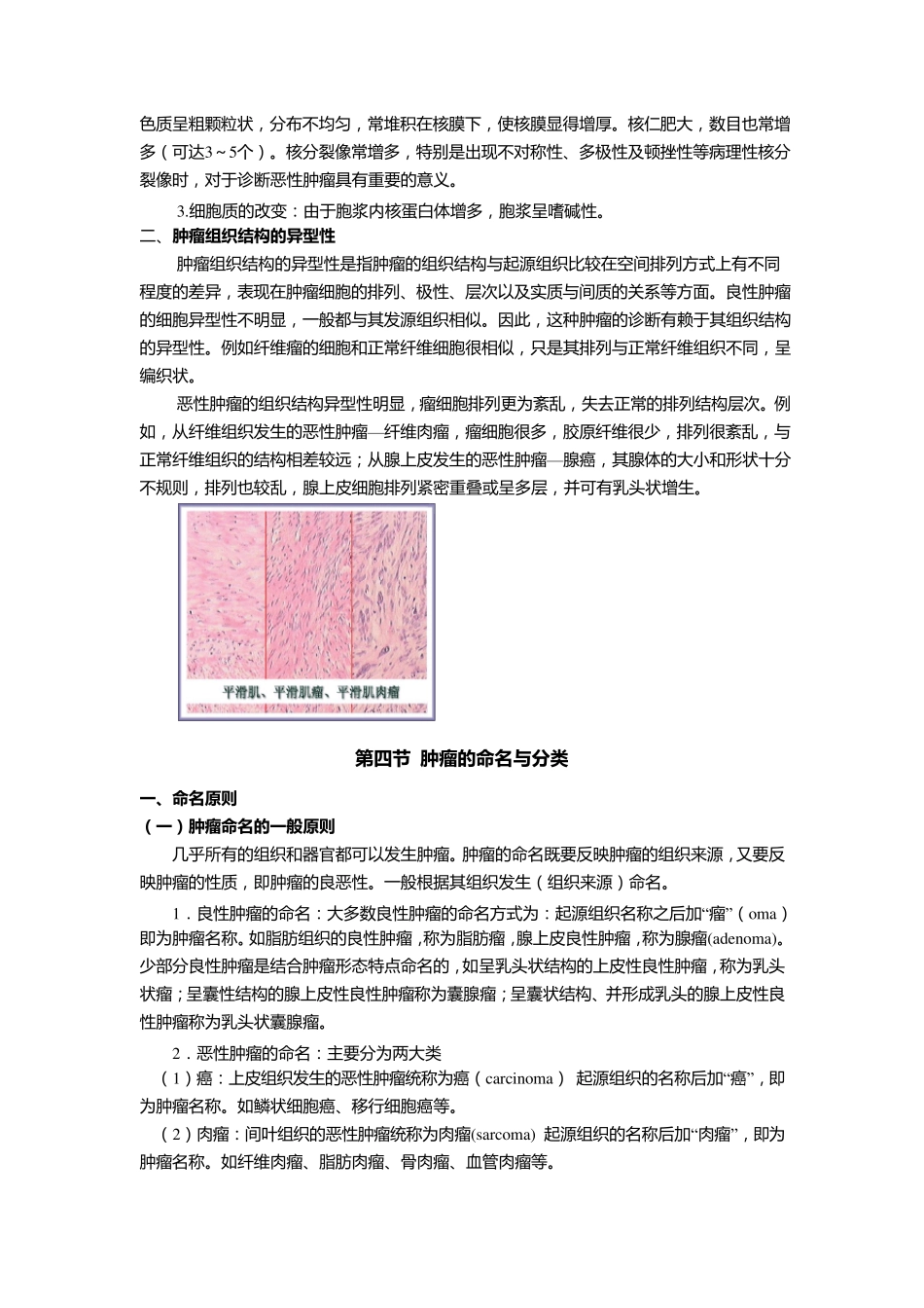 《肿瘤》教案_第3页