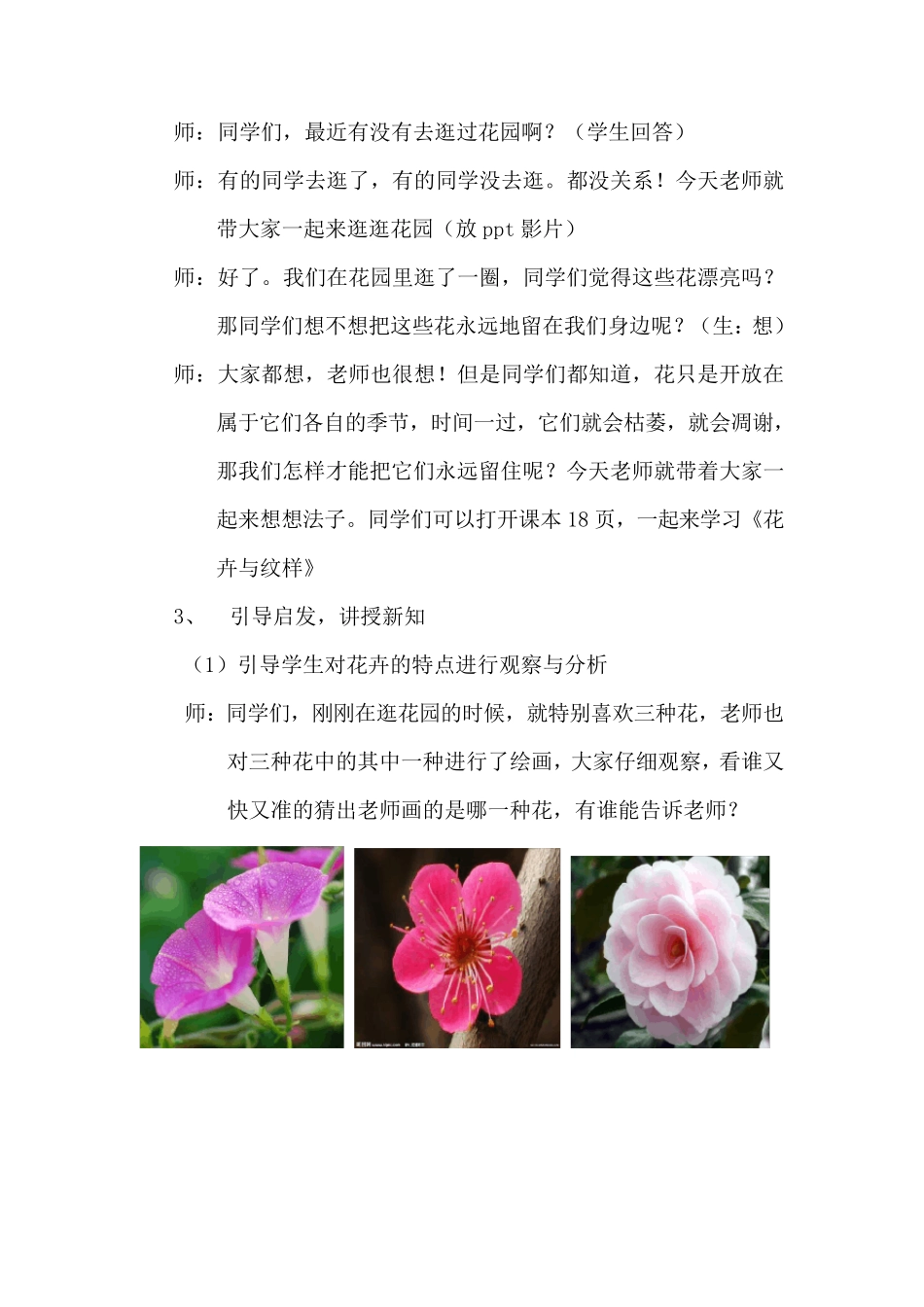 《花卉与纹样》教案_第2页