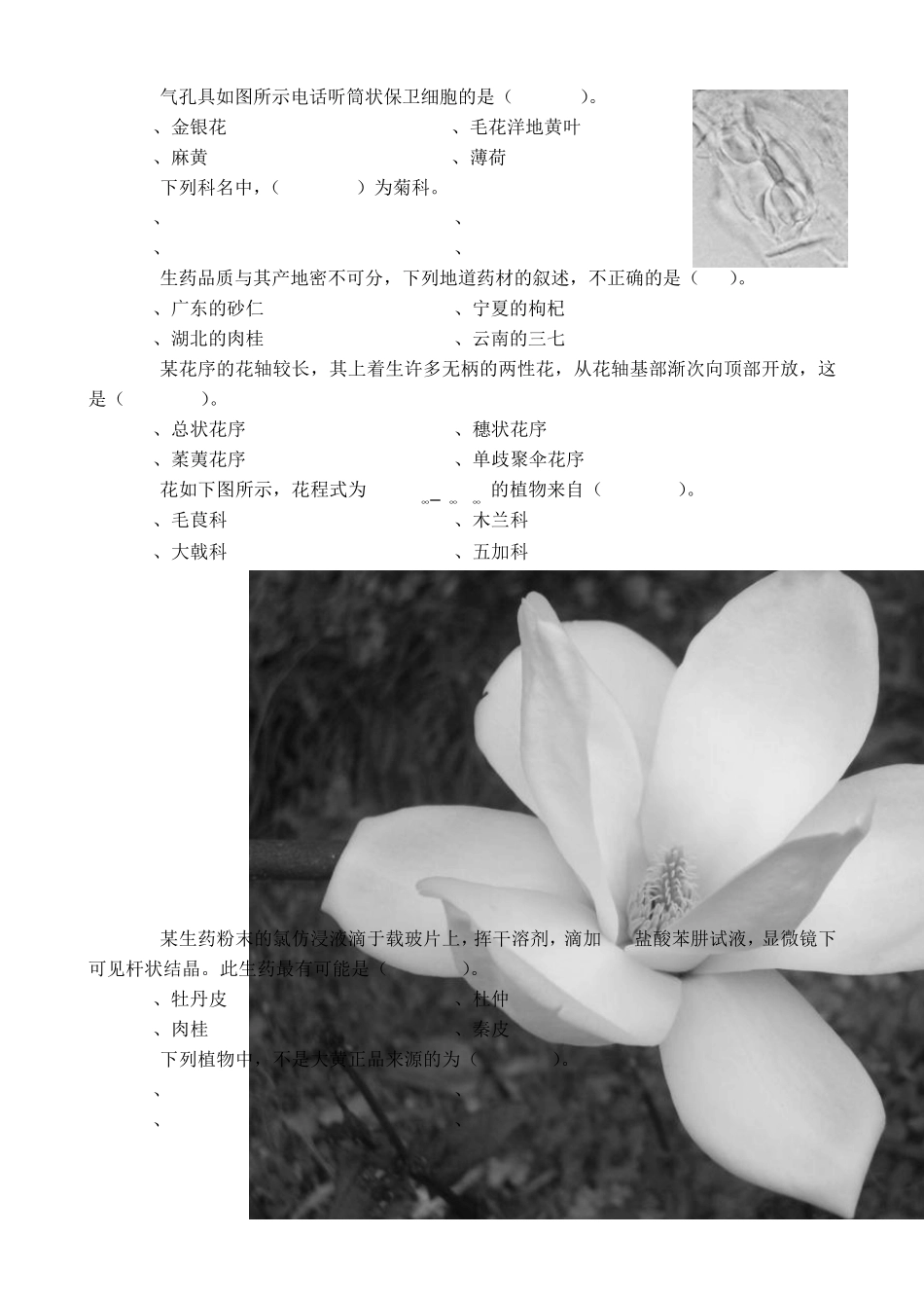 《药用植物学与生药学》期末考试试卷(A卷)_第3页