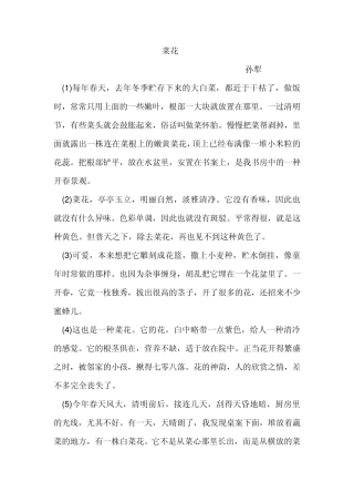 《菜花》初中现代文阅读解析
