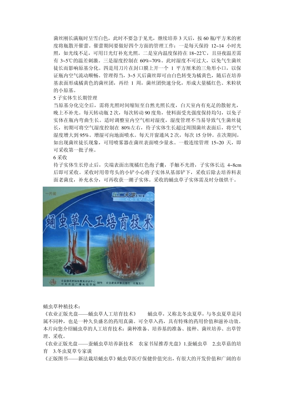 《蛹虫草种植技术》(怎样种植蛹虫草)_第3页