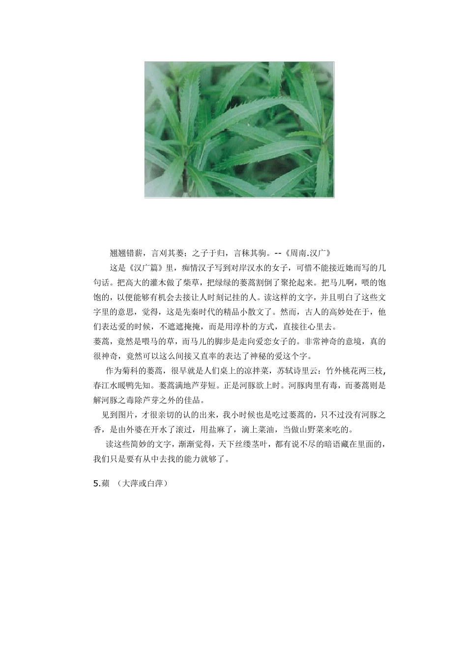 《诗经》中的植物_第3页
