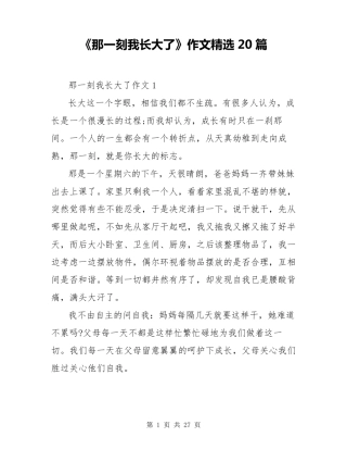 《那一刻我长大了》作文20篇