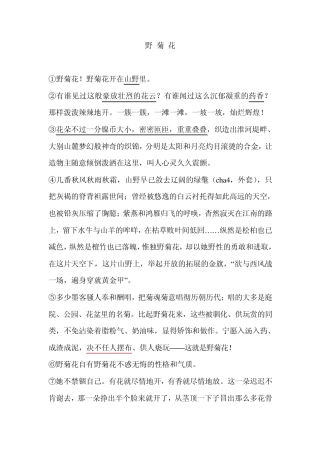 《野菊花》初中现代文阅读解析