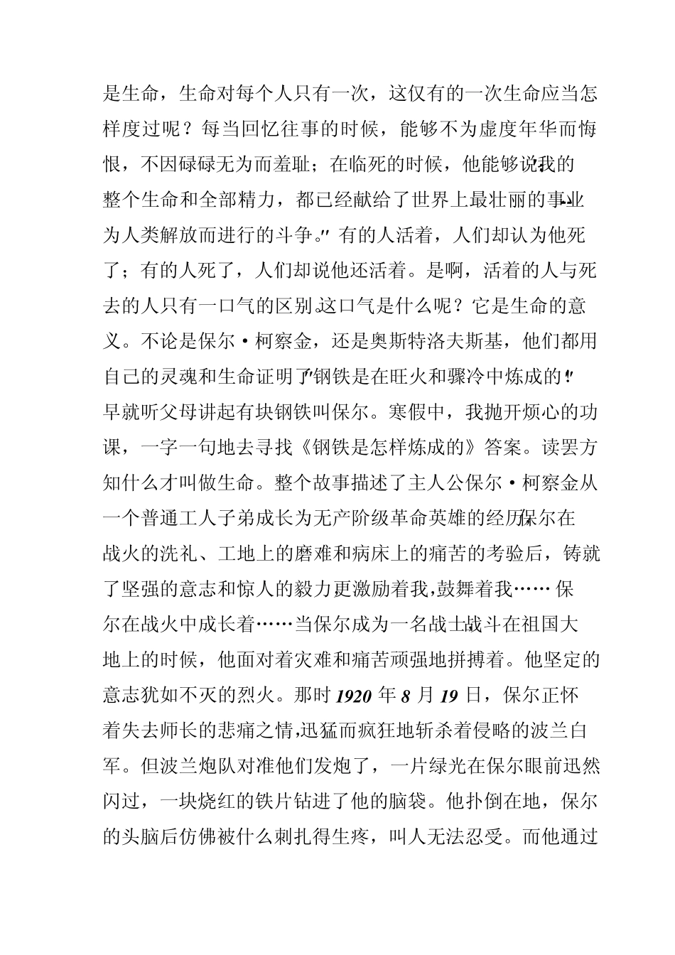 《钢铁是怎样炼成的》读后感_第2页