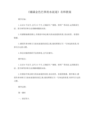 《铺满金色巴掌的水泥道》教案