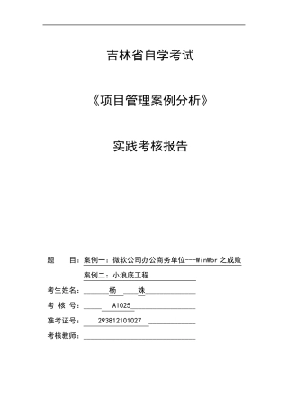《项目管理案例分析》实践报告